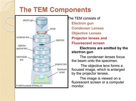 electron microscope slideshare|Electron microscope ppt .